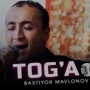 Тогалар Хакида Кушик