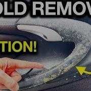 How To Remove Mold From A Car Interior