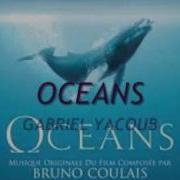 Ocean Will Be