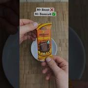Adrian Ghervan Mr Beast