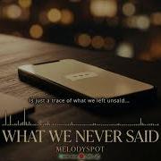 What We Never Said Lyrics