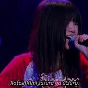 Sakura Concert