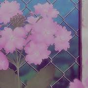 Eleanor Rigby Slowed