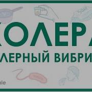 Лекции Холера