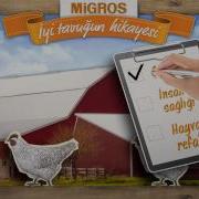 Iyi Tavuk Migros