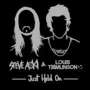 Steve Aoki Just Hold On