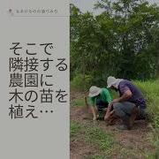 回廊とは