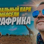 Жирафрика