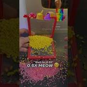 Elaframe Rice Cat Evolution