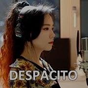 Luis Fonsi Despacito Cover