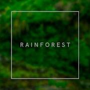 Infraction Music Rainforest
