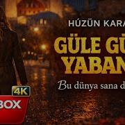 Hüzün Karaca