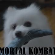 Gabe The Dog Mortal Kombat
