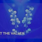 Lily At The Valley Boris Brejcha