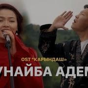 Кыргызча Тренд