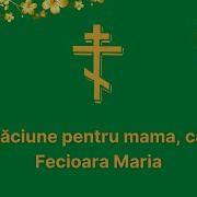 Ruga Pentru Mama Mea