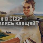 Клещи В Ссср Не Было Клещей Туризм Вакцины Ддт Смысл Doc