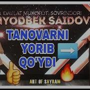 Куй Ноласи