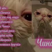 Песни Для Уборки Для Танцев Для Кайфа Speed Up