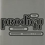 The Prodigy Your Love