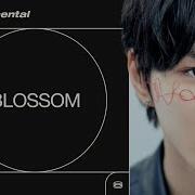 Enhypen Blossom Instrumental