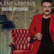 Ask Bodrumda Yasaniyor Güzelim