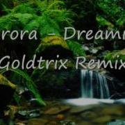 Aurora Dreaming