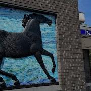 Black Horse Road