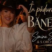 In Padure La Baneasa
