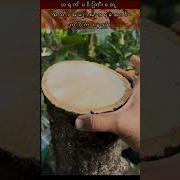 သ ပ