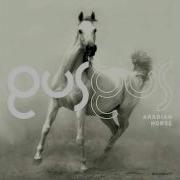 Gus Gus Within You