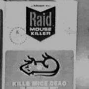 Raid Mouse Rat Killer