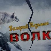 Валерий Козьмин Волк