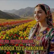 Sog Inch Dilda Ortib Borar