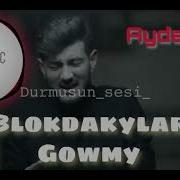 Aydayozin Blokdakylar Gowmy