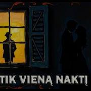 Mixerdj Tik Viena Nakti