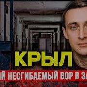 Андрей Крыл