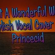 Princecid Cover