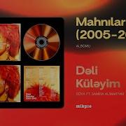 Dəli Küləyim