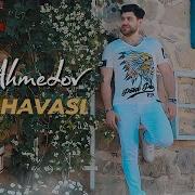 Sevgi Havasi