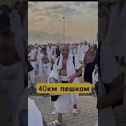 Все Поломники Идут