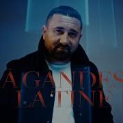 Mihai Falca Album Mp3