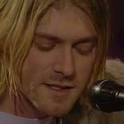 Acoustic Nirvana