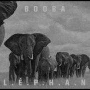 Booba Elephant