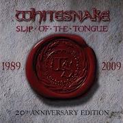 Whitesnake Kittens Got Claws