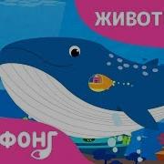 Китс