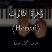موسيقى بيانو زهرة الثالوث العاطفة Hercai عزف علي الدوخي