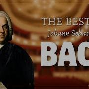 Морская Bach