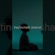 Vagtinchalic Shamik Dlej