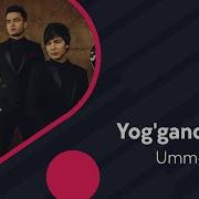 Qor Yogʻadi